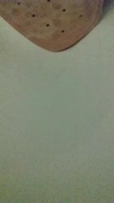 pollon531 live cam on Cam4