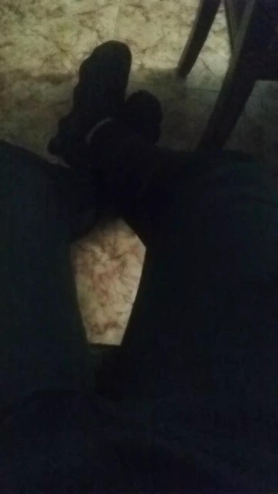 pollon531 live cam on Cam4