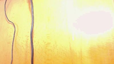 pollonbig07 live cam on Cam4