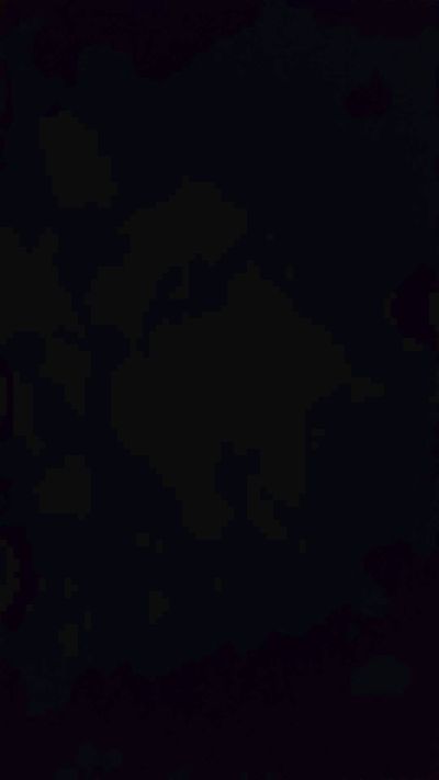 poplea live cam on Cam4