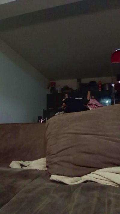 popopotass live cam on Cam4