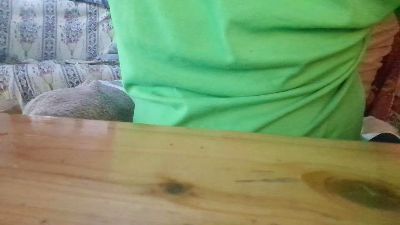 porcinoTN live cam on Cam4