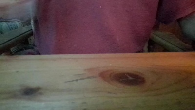 porcinoTN live cam on Cam4