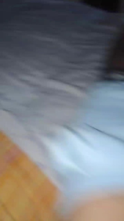 porcone256 live cam on Cam4