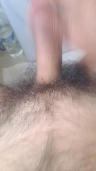 porcone256 live cam on Cam4