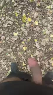 porconebg