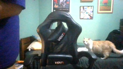 profedemusica live cam on Cam4