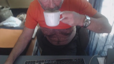 ptibear1 live cam on Cam4