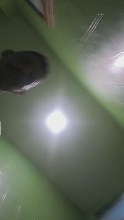 putariaOFFRJ live cam on Cam4