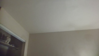 quaylababe live cam on Cam4