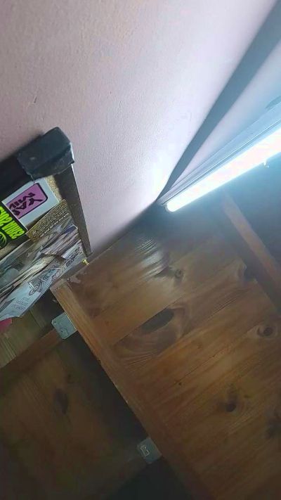 r0m44 live cam on Cam4