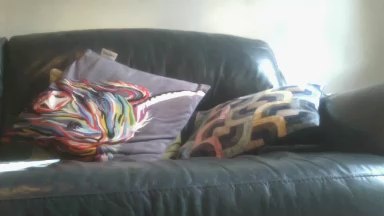 ralphhasone live cam on Cam4