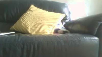 ralphhasone live cam on Cam4