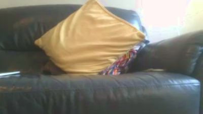 ralphhasone live cam on Cam4
