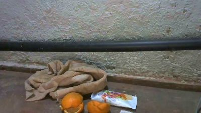 rassesexy live cam on Cam4