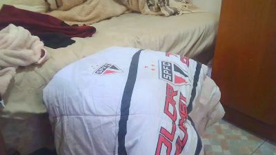 raul4396624 live cam on Cam4