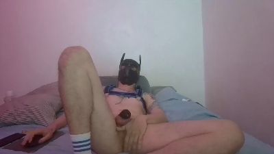 Profile and Statistics for raycrus on Cam4