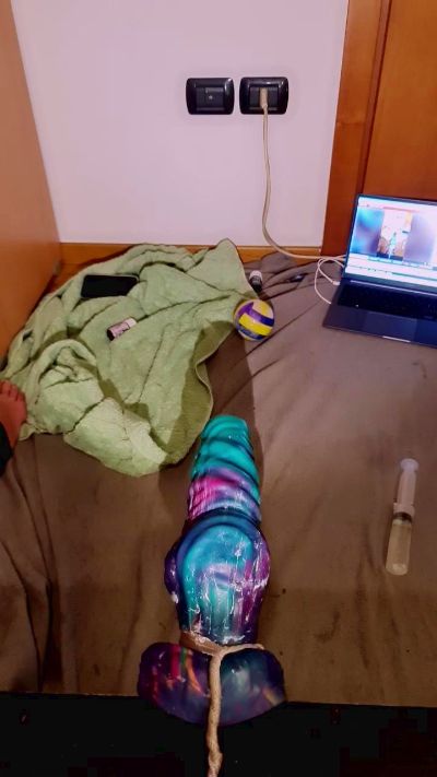 rdmas904 live cam on Cam4