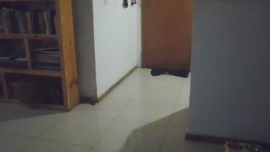 recon7 live cam on Cam4