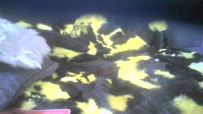 redimbir5 live cam on Cam4