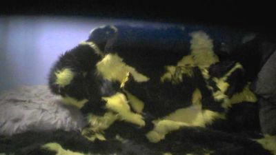 redimbir5 live cam on Cam4