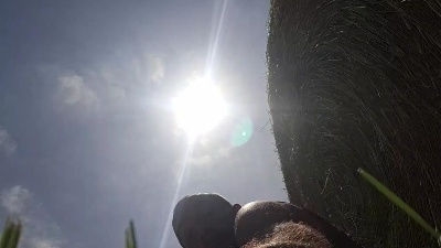 remi06 live cam on Cam4