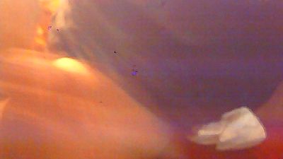 rene12021 live cam on Cam4