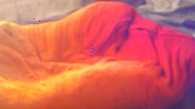 rene12021 live cam on Cam4