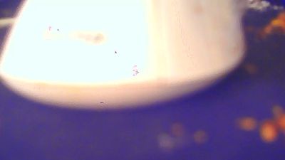 rene12021 live cam on Cam4