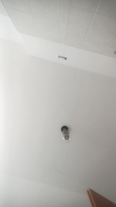 rob81cv live cam on Cam4