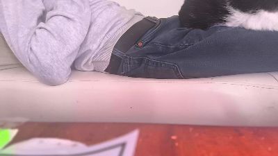 roberdefor live cam on Cam4