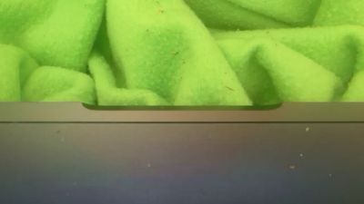 robkn78 live cam on Cam4