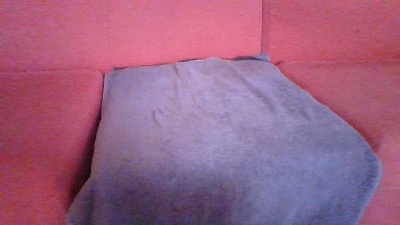 robygig live cam on Cam4