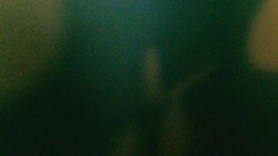 rockhead1953 live cam on Cam4