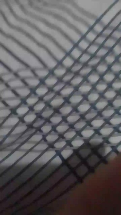 roludoogato live cam on Cam4