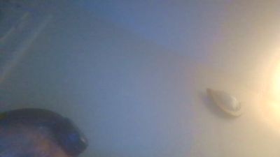 roro1947 live cam on Cam4