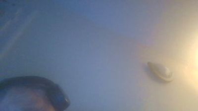 roro1947 live cam on Cam4