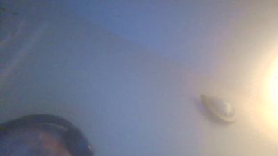roro1947 live cam on Cam4