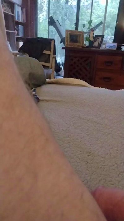 roromanster_Por live cam on Cam4