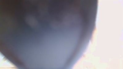 rosebigcock live cam on Cam4