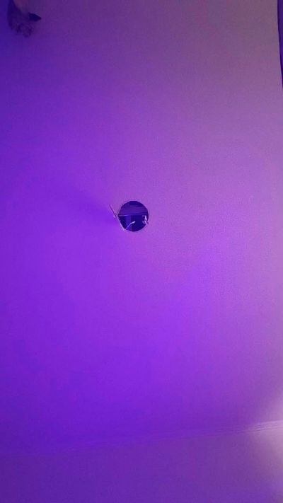 rosinow live cam on Cam4
