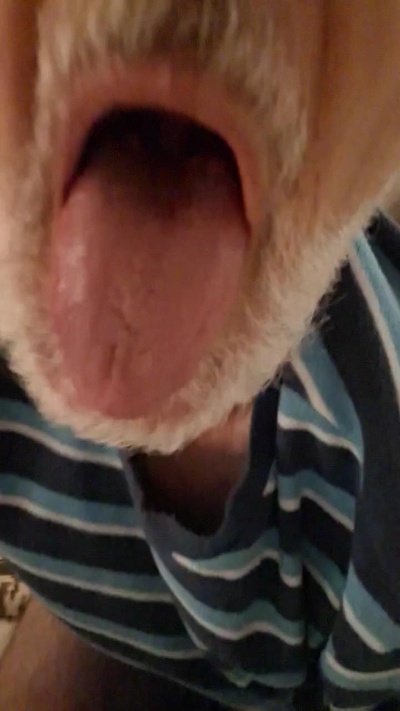 roumulus82 live cam on Cam4