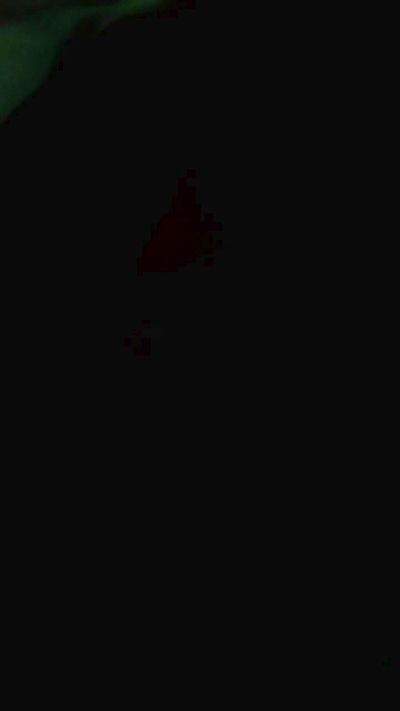 ryan23_hot Live Cam on Cam4