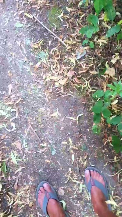 saarman33 live cam on UnifiedCams