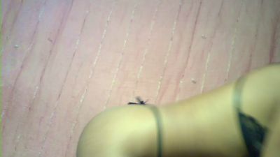 sabrica007 live cam on Cam4