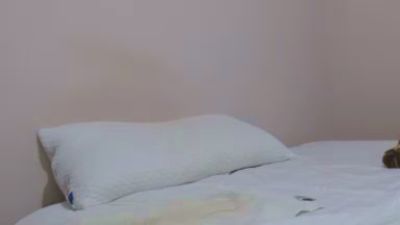 salinasrodolfo live cam on Cam4