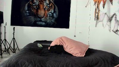 salome_sodi live cam on Cam4