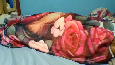 saminah3 live cam on Cam4