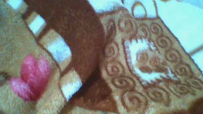 saminah3 live cam on Cam4
