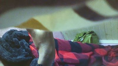 sandrina9794 live cam on Cam4